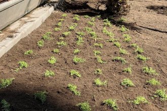 WhatsApp Image 2026-04-01 at 16.03.40.jpeg